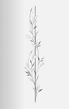 Willow Branch Spine Tattoo, Fineline Floral Vine Tattoo, Tattoos, Floral