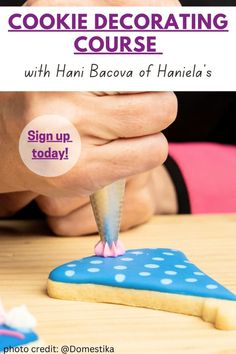 a cookie decorating course with hani bacova of hanaia's sign up today