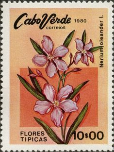 a stamp with flowers on it and the words cabo verde corrios written in spanish