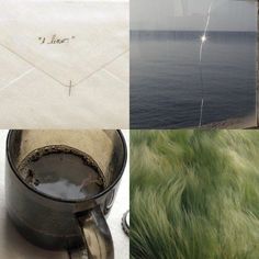 an image of the ocean and grass in different pictures with words written on each side