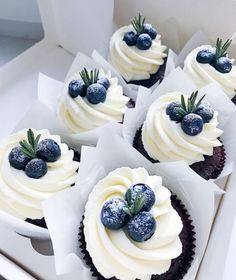 four cupcakes with white frosting and blueberries on top in a box