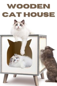 two cats sitting on top of a cat house with the caption wooden cat house