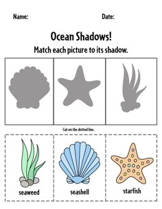 the ocean shadow matching worksheet for children to learn how to draw and color