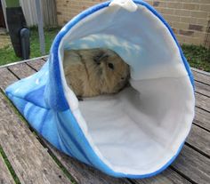 a small hamster is sitting in a blue and white bed on a wooden table