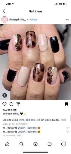 Autumn Nails Tortoise Shell, Coffin Tortoise Shell Nails, Blonde Tortoise Nails, Olive Fall Nails, Boho Short Nails, Tortus Shell Nails, Tortoishell Nails Design, Fall Nails Tortoise, Classy Fall Nails Short