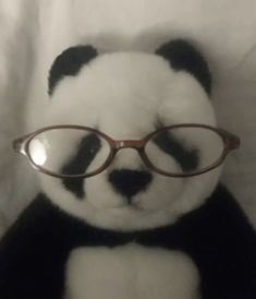 a black and white panda bear wearing glasses