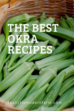 the best okra recipes for any type of meal or appetizer - they are delicious and easy to make