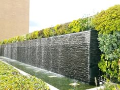 a water feature in the middle of a garden with plants growing on it's sides