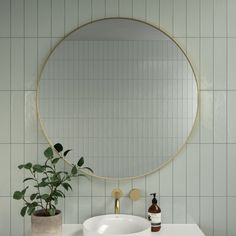 a white sink sitting under a round mirror next to a potted plant on top of a counter