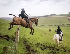 a person riding on the back of a brown horse over a wooden fence in a field