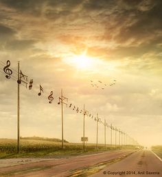 an empty road with musical notes on the telephone poles and birds flying in the sky