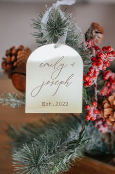 a christmas ornament with pine cones and berries