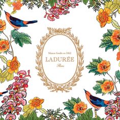 a floral frame with birds and flowers around it on a white background that says laduree