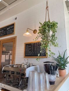 a coffee shop with plants hanging from the ceiling and menus on the wall behind it