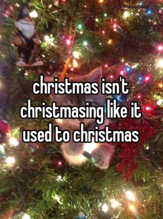 a cat sitting on top of a christmas tree with the caption, christmas isn't