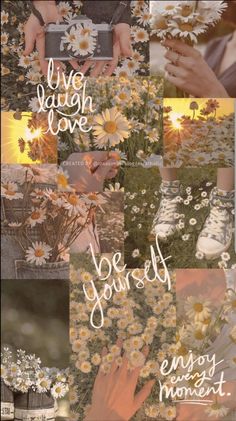 a collage of photos with daisies and the words live, laugh, love