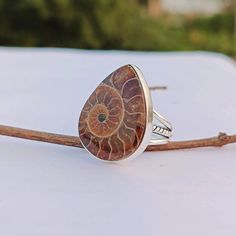 ---Ammonite Fossil Ring--- Gemstone: Ammonite Fossil Gemstone Size: 18x24 mm Gemstone Shape: Pear _._._._._._._._._._._._._._._._._._ Metal Type: 925 Sterling Silver  Weight : 10-12 Gram (Approx) Made In: Jaipur, India Our future business depends on your satisfaction and positive feedback. _._._._._._._._._._._._._._._._._._ !!Have a Happy Shopping With Us!!                  Thank You Fossil Ring, Ammonite Fossil, Promise Ring Gift, Jaipur India, Ring Gemstone, Promise Ring, Rings Statement, Promise Rings, Jaipur