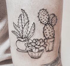 a black and white photo of a potted plant with succulents on it