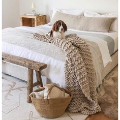 a dog sitting on top of a bed next to a basket and blanket in front of it