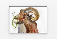 a watercolor painting of a ram eating grass