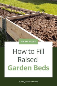 Want to know how to fill your raised garden beds for the best results? I’ll walk you through the layers and materials to create nutrient-rich soil that your plants will love! From drainage to compost, learn the secrets to a thriving raised bed garden. Soil Mixture, Raised Bed Garden, Raised Bed, Plant Growth, Raised Beds