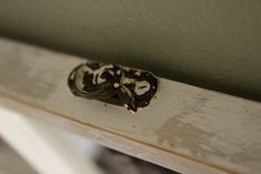 a close up of a doorknob on a wall with paint peeling off it