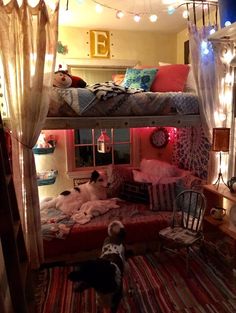 a dog standing in front of a bunk bed with lights strung from the ceiling above it