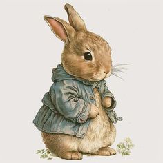 a drawing of a rabbit wearing a jacket