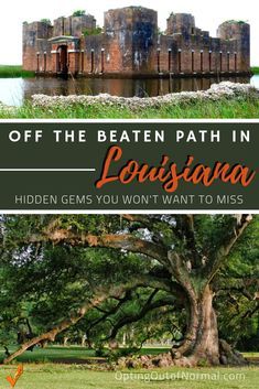 a large tree with the words, off the beaten path in louisiana hidden gems you won't want to miss