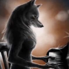 a wolf is playing the piano while another looks on