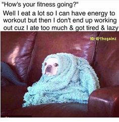 a dog wrapped in a blanket sitting on top of a brown leather couch with the caption, how's your fitness going? well i eat a lot so i can have energy to work out