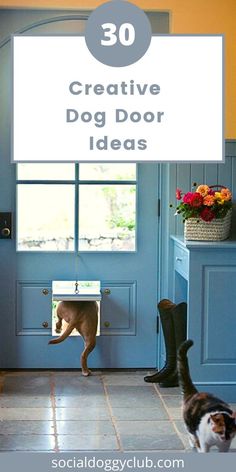 a dog is standing in front of a door with the words 30 creative dog door ideas