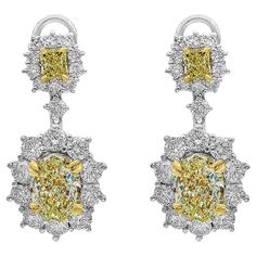 Roman Malakov 6.15 Carat Fancy Yellow Diamond Halo Flower Dangle Earrings For Sale at 1stDibs Canary Diamond, Flower Dangle Earrings, Yellow Diamonds, Fancy Yellow Diamond, Expensive Jewelry, White Gold Earrings, Fancy Jewelry, Oval Cut Diamond, Radiant Cut