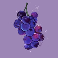 a bunch of grapes on a purple background