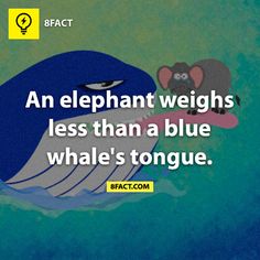 an elephant weighs less than a blue whale's tongue text reads, fact