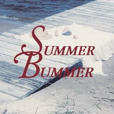 a book cover for summer bummer with an image of a picnic table on the beach