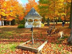 a gazebo in the middle of a park surrounded by fall leaves