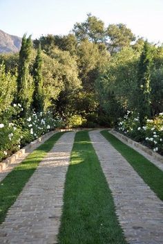 a stone walkway surrounded by lush green trees and white flowers on either side of it