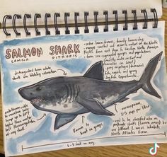 a drawing of a shark with information about it's body and its name written on it