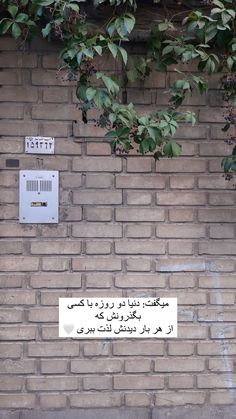 a brick wall with writing on it and vines growing up the side, in arabic