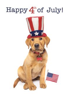 a dog wearing a patriotic hat with an american flag on it's head and the words happy 4th of july