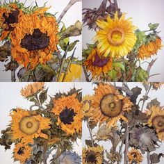 three pictures of sunflowers in vases with leaves and flowers on the bottom