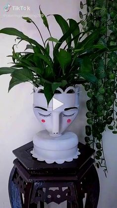 a potted plant with two faces on it