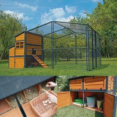 the chicken coop is open and ready to be used