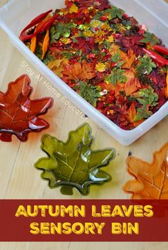 the autumn leaves are being used to make this fall leaf activity bin