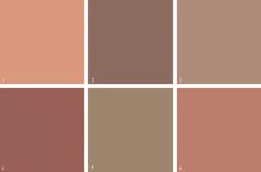 the different shades of brown and pink are shown in this color palette, which is also available