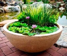 a planter filled with lots of green plants and water lilies on top of a brick walkway