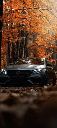 a car is parked in the middle of an autumn forest