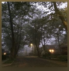 an empty street at night with lights on and trees lining the road in the foreground