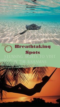 Looking for spectacular activities and pristine landscapes in The Bahamas? Search no more! Here are 65 Unmissable Things To Do In The Bahamas, a perfect balance between secret spots, majestic beaches, and vibrant nightlife. Whether you visit The Bahamas for the first time, the third time, solo, on a city break, or traveling with all your family and kids, you’ll be sure to find something unmissable to do in this list! Epic Sights In The Bahamas | Bahamas Trip | Living In The Bahamas, Bahamas Resorts, Honeymoon Inspiration, Honeymoon Destinations